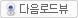 로드뷰버튼